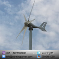 Sunning Wind Turbine Sistema de suministro de energía para agricultores privados